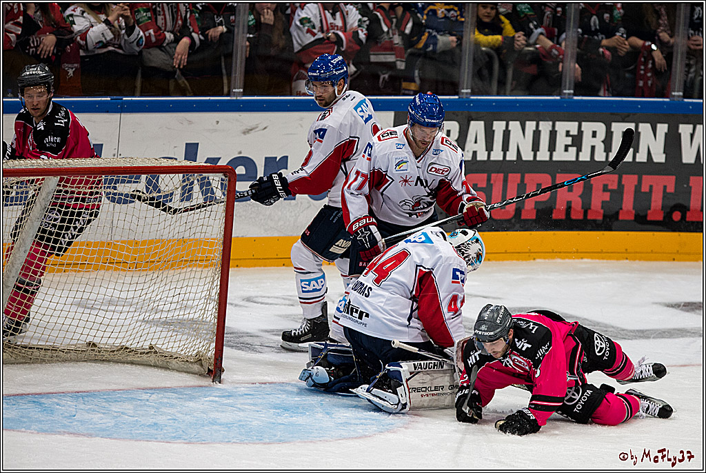 Koelner Haie - Adler Mannheim, 30.10.2016